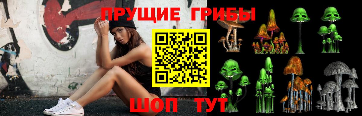 наркошоп  Вход с VPN  Грязи  Псилоцибиновые грибы Psilocybine cubensis 